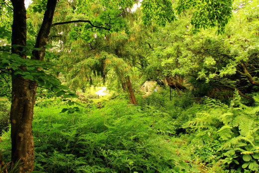 714194 (a): :2835x1890